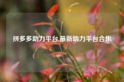 拼多多助力平台,最新助力平台合集