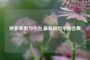 拼多多助力平台,最新助力平台合集