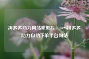 拼多多助力网站哪里找，2025拼多多助力自助下单平台网站