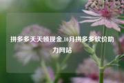 拼多多天天领现金,10月拼多多砍价助力网站