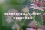拼多多多多助力渠道入口,24小时助力业务自助下单平台