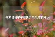 海南省拼多多帮助力平台,不用求人