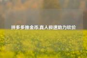 拼多多推金币,真人极速助力砍价