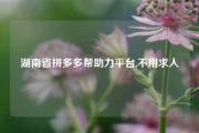 湖南省拼多多帮助力平台,不用求人