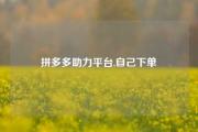 拼多多助力平台,自己下单