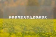 拼多多帮助力平台,自助刷助力
