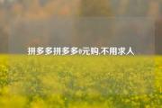 拼多多拼多多0元购,不用求人