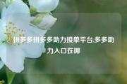 拼多多拼多多助力接单平台,多多助力入口在哪