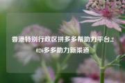 香港特别行政区拼多多帮助力平台,2026多多助力新渠道