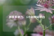拼多多助力，24小时网站平台