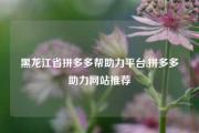 黑龙江省拼多多帮助力平台,拼多多助力网站推荐