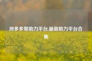 拼多多帮助力平台,最新助力平台合集