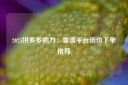 2025拼多多助力：靠谱平台低价下单推荐