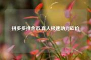 拼多多推金币,真人极速助力砍价