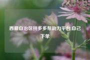 西藏自治区拼多多帮助力平台,自己下单