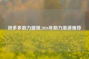拼多多助力提现,2026年助力渠道推荐