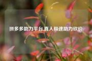 拼多多助力平台,真人极速助力砍价