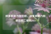 拼多多助力微信群，拼多多助力群微信群二维码2025