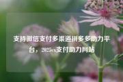 支持微信支付多渠道拼多多助力平台，2025vx支付助力网站