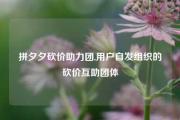 拼夕夕砍价助力团,用户自发组织的砍价互助团体