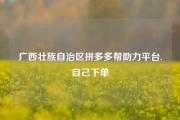 广西壮族自治区拼多多帮助力平台,自己下单