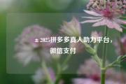 📱2025拼多多真人助力平台，微信支付