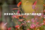 拼多多助力平台,2026年助力渠道推荐