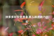 拼多多砍价免费拿,真人极速助力砍价