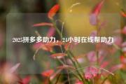 2025拼多多助力，24小时在线帮助力