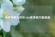 拼多多助力砍价,2026多多助力新渠道