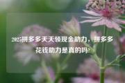 2025拼多多天天领现金助力，拼多多花钱助力是真的吗?