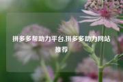 拼多多帮助力平台,拼多多助力网站推荐