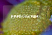 拼多多助力砍价,不用求人