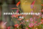 拼多多助力平台,10月拼多多砍价助力网站