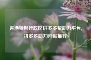 香港特别行政区拼多多帮助力平台,拼多多助力网站推荐