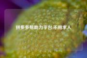 拼多多帮助力平台,不用求人