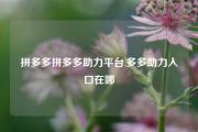 拼多多拼多多助力平台,多多助力入口在哪
