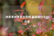 拼多多拼多多砍价群,最新助力平台合集