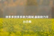 拼多多拼多多助力商城,最新助力平台合集