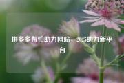 拼多多帮忙助力网站，2025助力新平台