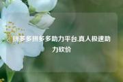 拼多多拼多多助力平台,真人极速助力砍价