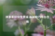 拼多多砍价免费拿,最新助力平台合集