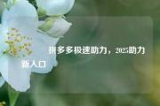 🔥拼多多极速助力，2025助力新入口💯💯💯
