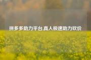 拼多多助力平台,真人极速助力砍价