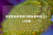 拼多多拼多多助力商城,多多助力入口在哪