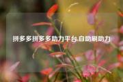拼多多拼多多助力平台,自助刷助力