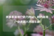 拼多多新用户助力网站：助力新用户快速融入拼团乐趣