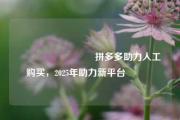 💯💯拼多多助力人工购买，2025年助力新平台💯💯