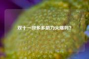 双十一拼多多助力火爆吗？