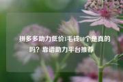 ✅拼多多助力低价1毛钱10个是真的吗？靠谱助力平台推荐